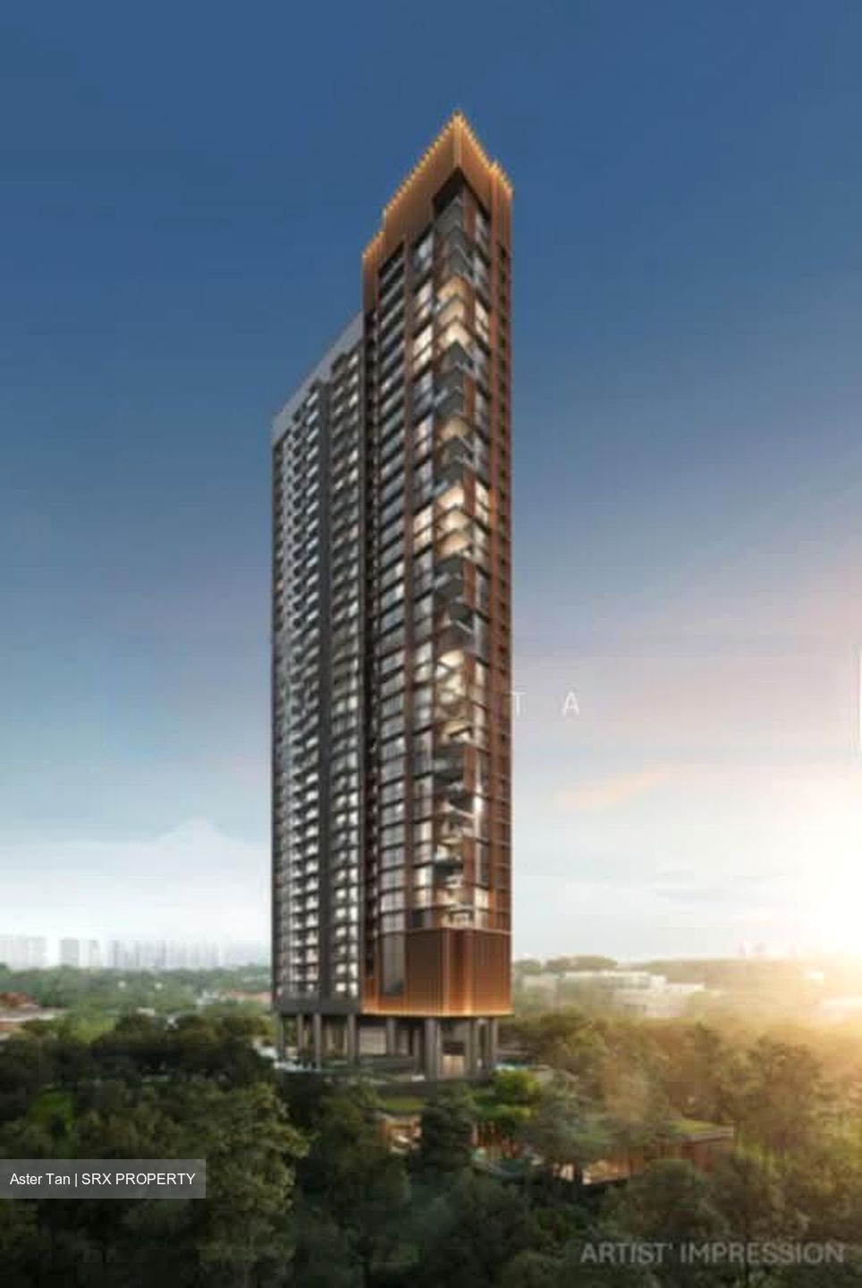 Orchard Boulevard (D10), Condominium #566192111